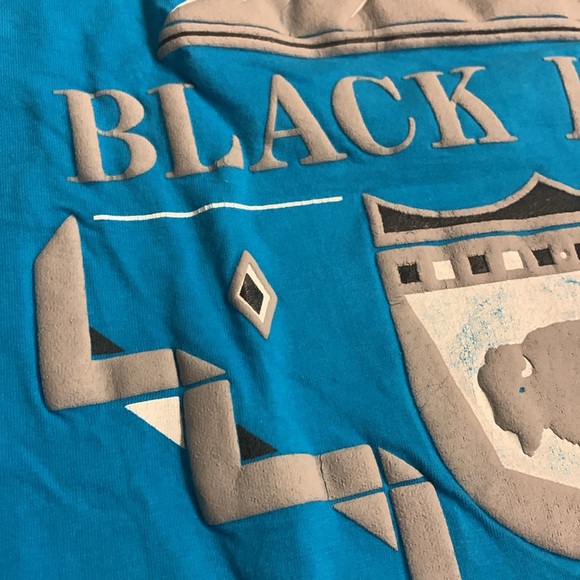 Vintage Jerzees South Dakota Men’s large t-shirt single stich - Picture 3 of 9